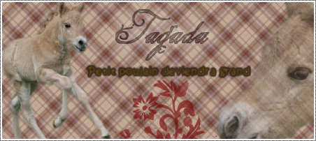 Tagada Signat12