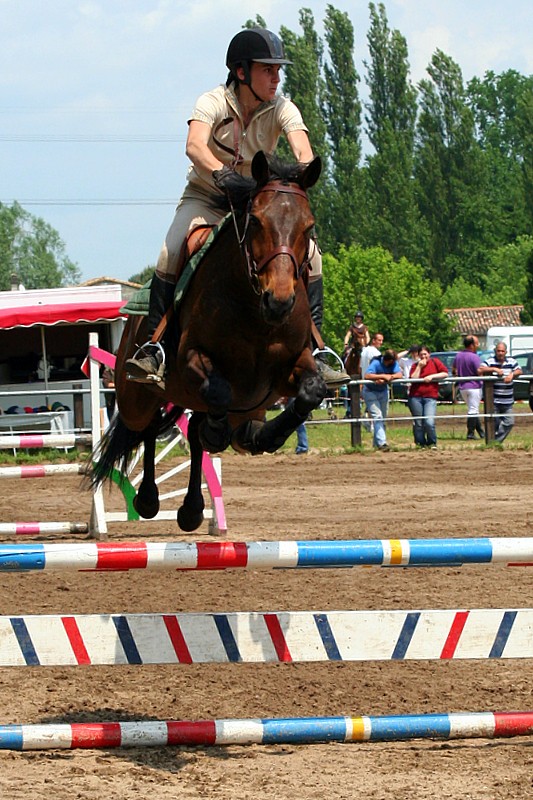 [33]Week end concours, riche en emotions! Img_0310