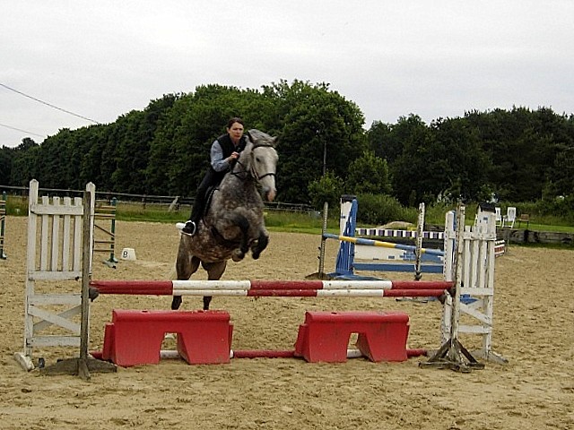 PORTUGUAIS VOLANT ...C'EST REPARTI ! Obstac11