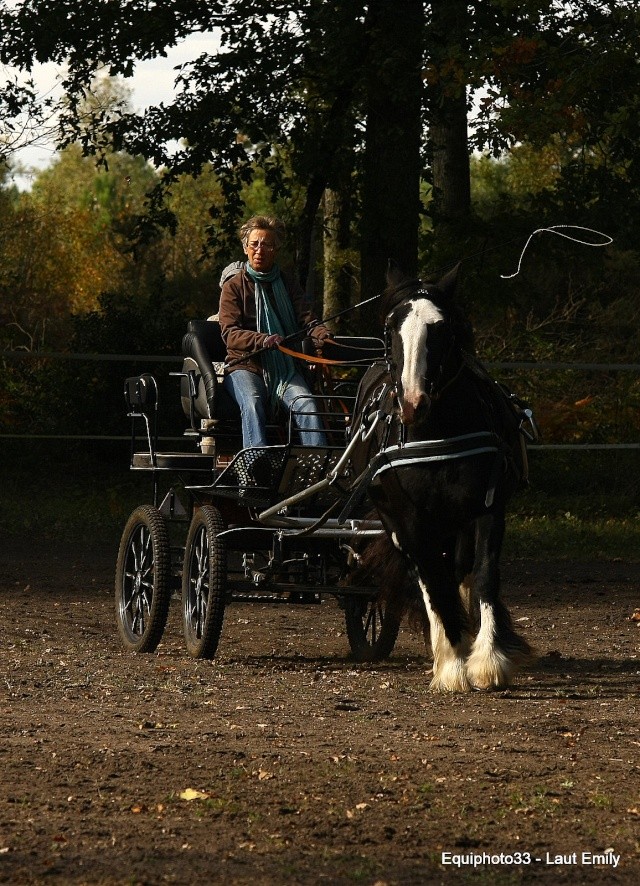 Une Noireaude, trois bipèdes et une quatres roues... Saskia13