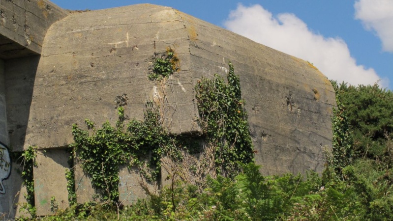 bunkers Bunk1117