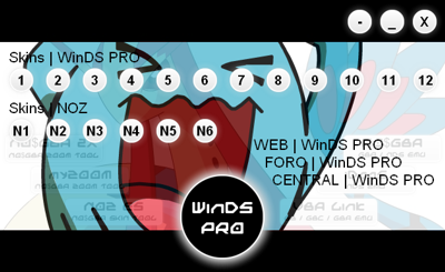 Win DS Pro Wb3210