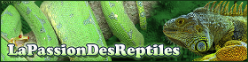 mon serpent est mort !!! Lpdr10