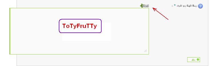 ما هى الأماكن التى تقبل وضع أكواد HTML ?  2010