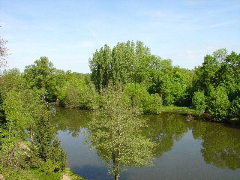 Balade dans le Quercy Dsc08319