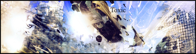 Galerie toxic Skateu10