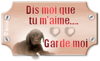 créer un forum : basset hound aventures - Portail 10021610