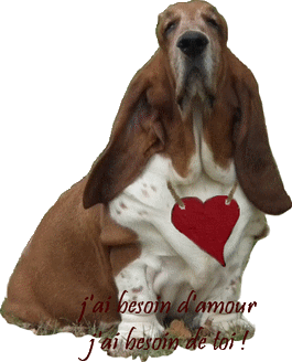 créer un forum : basset hound aventures - Portail Portai27