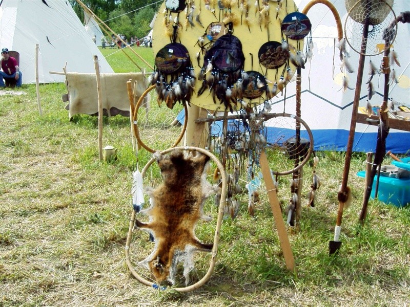 fête du bison à Valdivienne dans le 86 Peau_d10