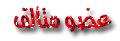 عضو متألق عضو متألق