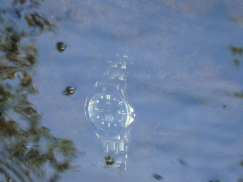 Vos photos de montres sous l'eau 08810