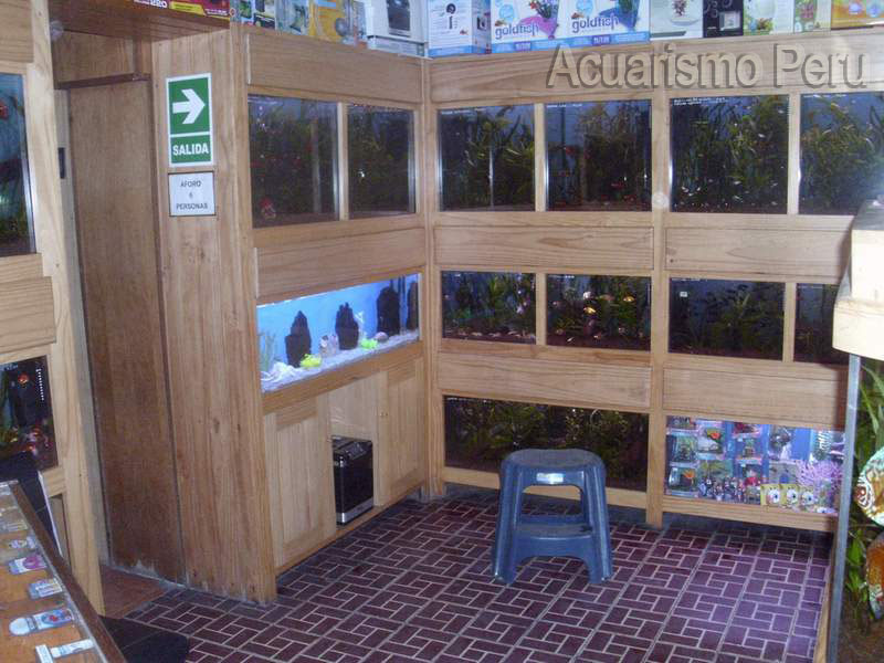 ACUARIO REAL ( miraflores ) 223