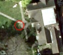 The huge dog - visible from Space! Articl12