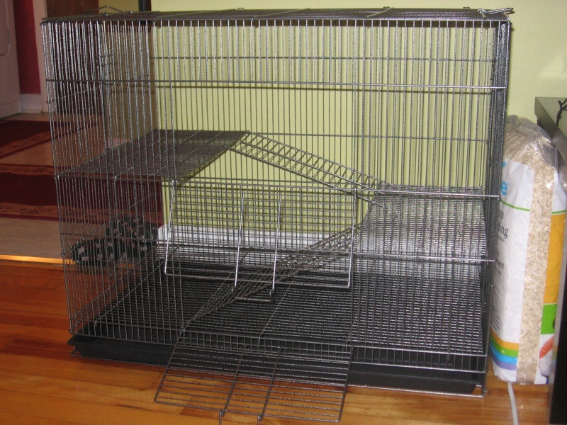 La cage de mes mâloux (elle est aménagée ! (photo page 2) Img_2210