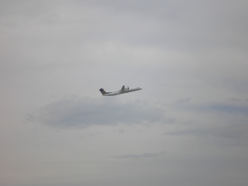 Aeroportul Sibiu - 2008 P4112110