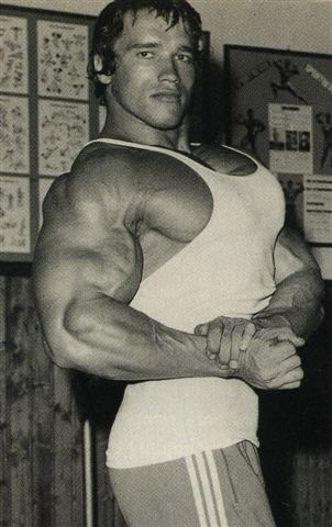 Arnold Schwarzenegger - Page 2 Indexc17