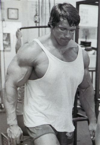 Arnold Schwarzenegger - Page 2 Indexc18