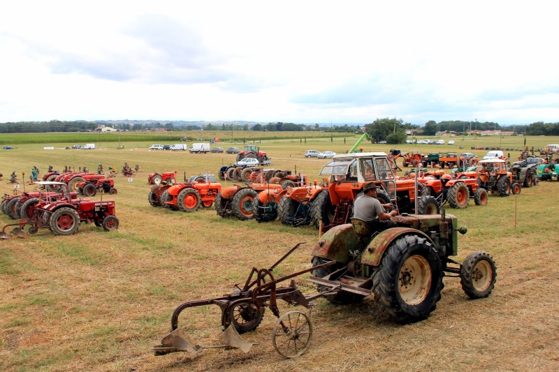 Antic'agri 2011 à LONGAGES Img_3531