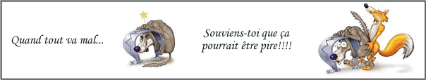 [DELIRE] Ceci est le récit d'une histoire vraie qui s'est produite lors d'un mariage - Page 2 Loupby12