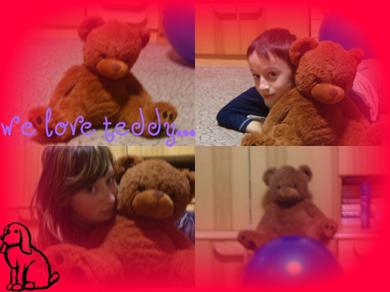 joses foto... Teddy10