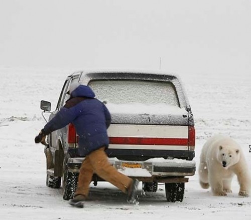 la neige insolite, rires!fleur 16223410