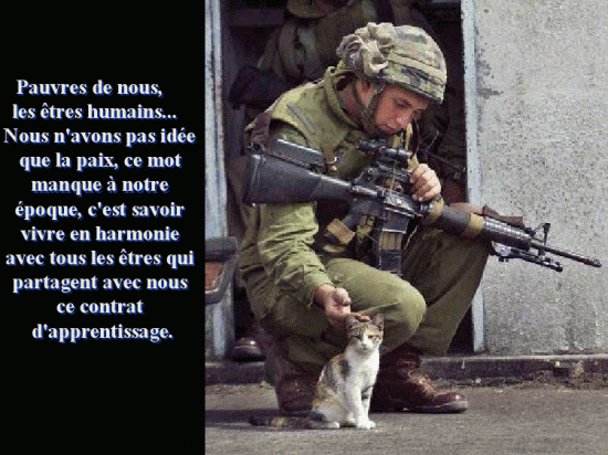 respecte ton animal , tu te respectera toi  44007110