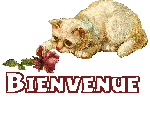 bouboulle se présente Bienve11