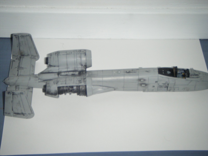 A10A Thunderbolt II "Warthog" [ITALERI] 1/48 - Page 2 2008_038