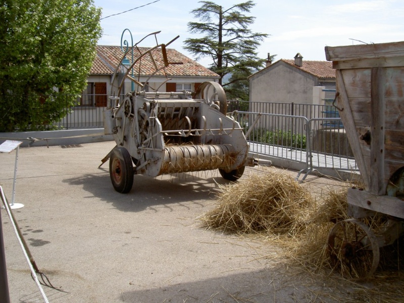 FETE DE L'OLIVIER - VOLX (04) Pict7221