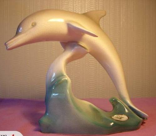 dolphin - Aquila Dolphin Aquila14
