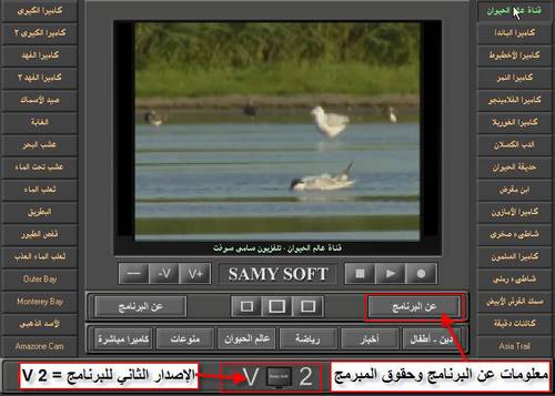 Samy Soft TV 2.0      /   Haywan10