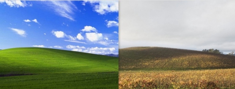 Fond d'écran Windows XP en Californie (Etats-Unis) 20110910