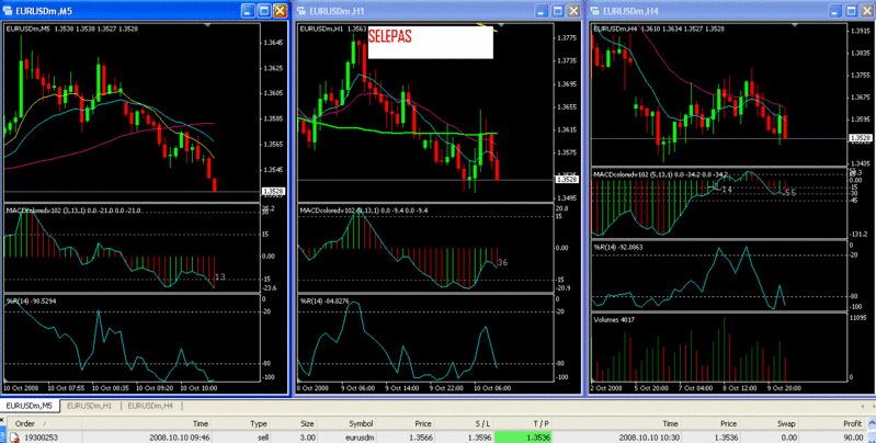 Paraivagas Forex Journal 10108c10