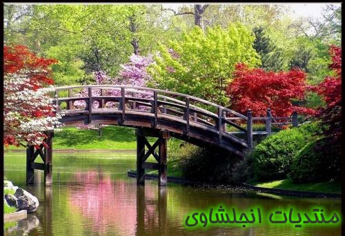 (الاعتدال الربيعى) نبذه عن الإعتدال الربيعي - صور الاعتدال اربيعى spring equinox 13321918