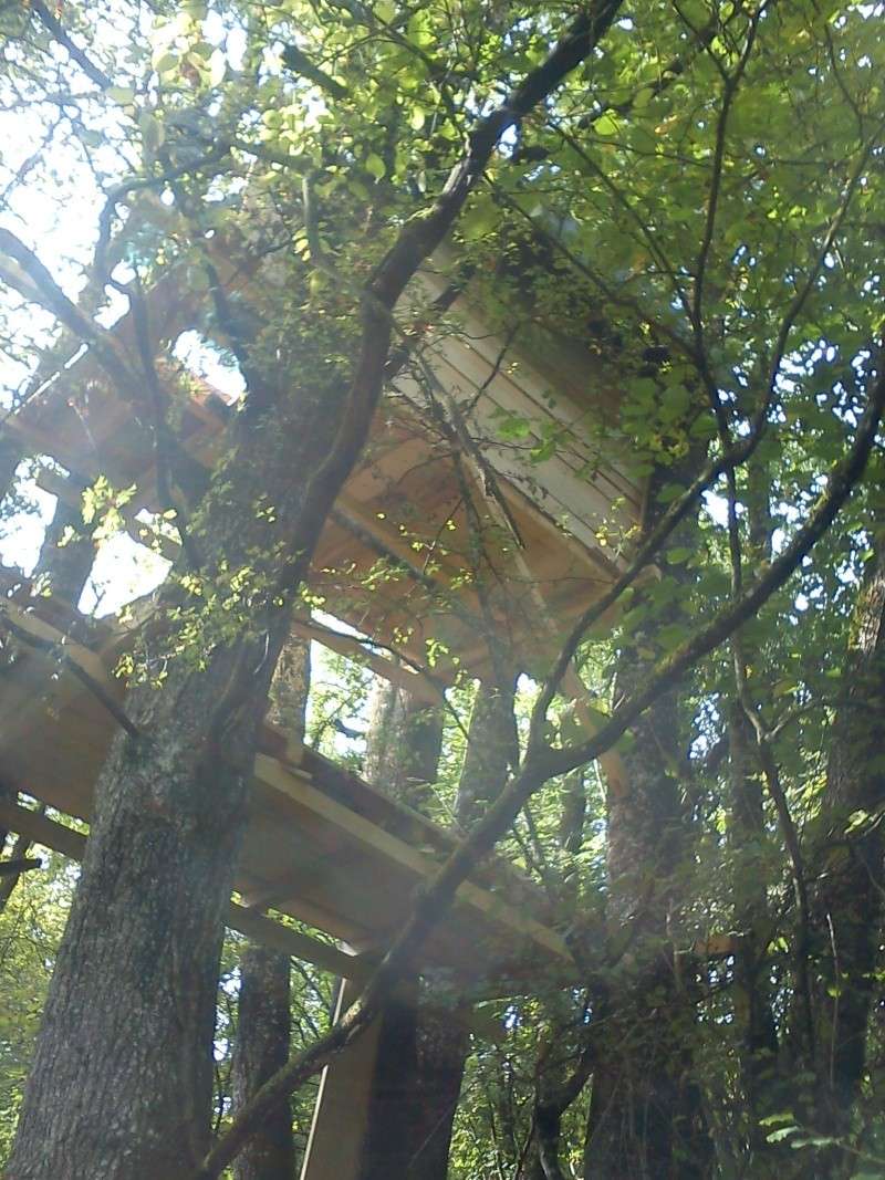 cabane - Cabane dans les arbres Dsc00416