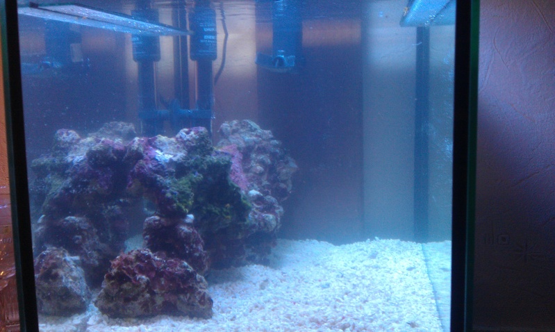 mon 60 litres Imag0313