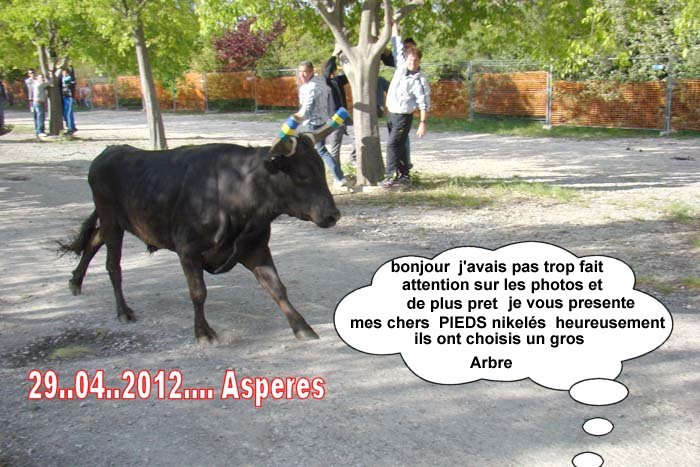 journée du 29..04..2012..d'Aspères  avec Abrivade  Festival  Bandide Dsc06510