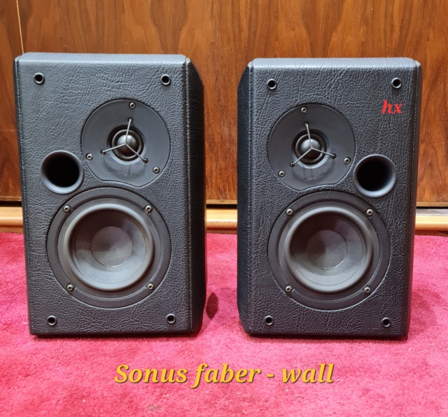 USED Sonus faber Wall surround Speakers
