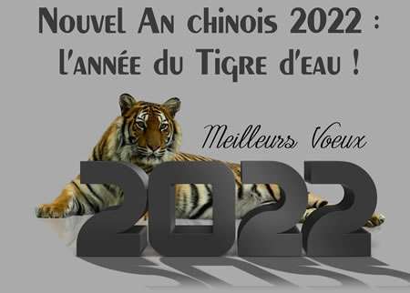 2022 année du Tigre 2022-s10