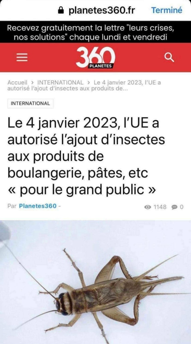 Insectes comestibles 20230111