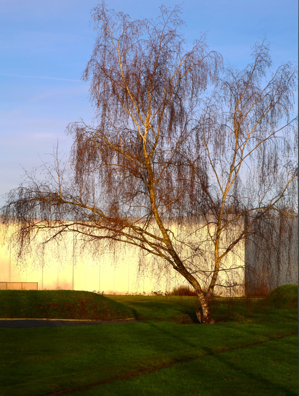 lors d'une tite balade ...le Louvres Lens Lièvin Okrv_l14