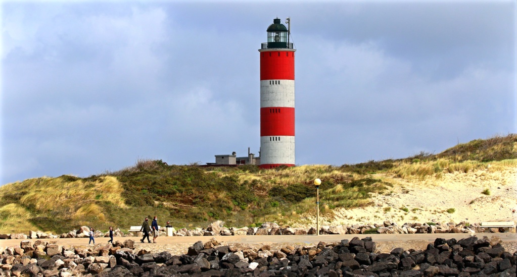 bon bin vla....une tite visite a nos z'amis les phoques  a Berck Okrvm244