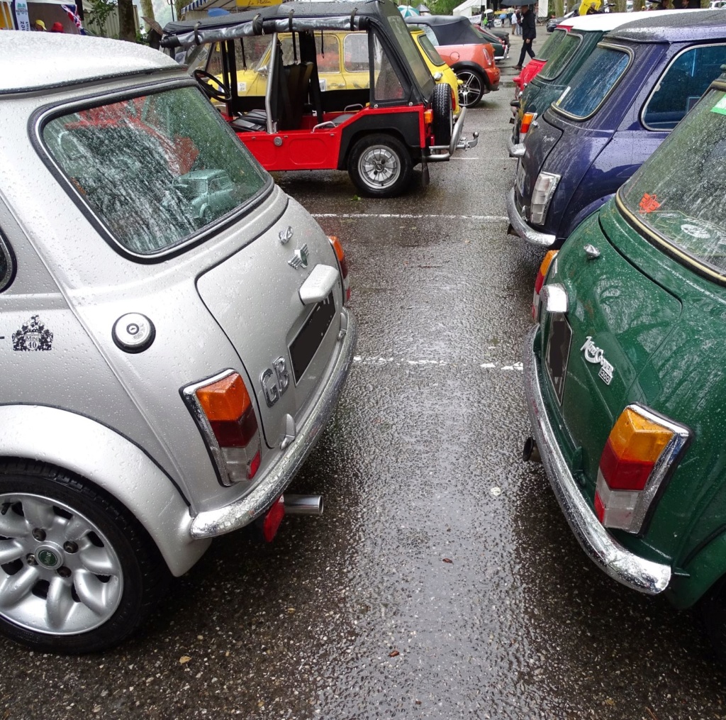 show - British Car Show de Nantua [9 juin 2019] Dsc08745