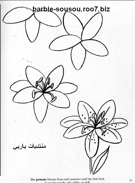 تعلم رسم الزهور بالخطوات 1310