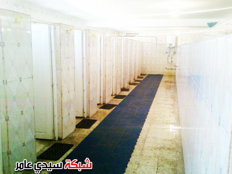 حملة تنظيف مساجد سيدي عامر : مسجد عمر بن الخطاب    Sp_a0317