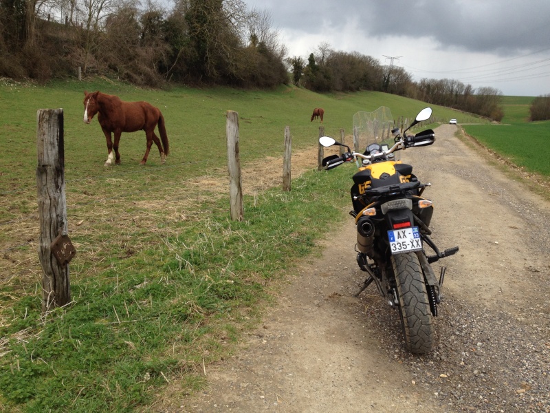 La F800GS déjà !! Le permis bientôt ! Photo11