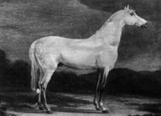 Quelle était la couleur du cheval blanc d'Henri IV? Vizir10