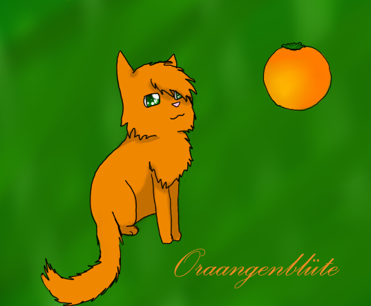 Hase macht ava's und co. - Seite 2 Orange10