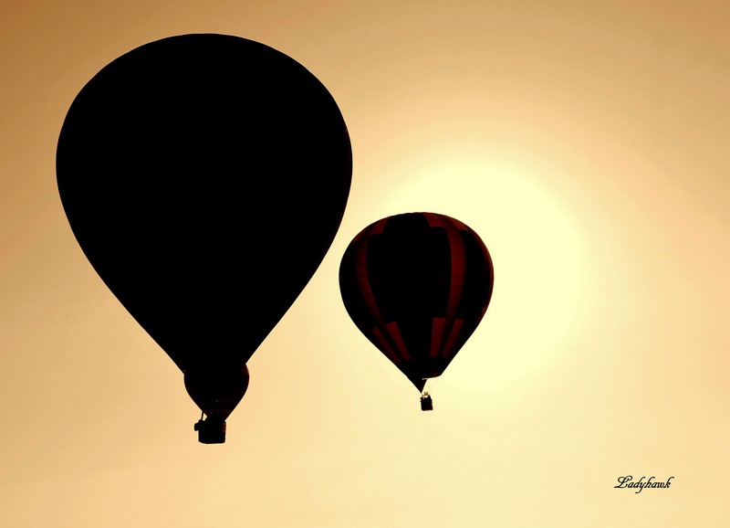air ballons 2019 13_cop10