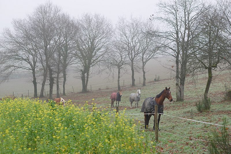 C'est quand le printemps ? Sans_p10